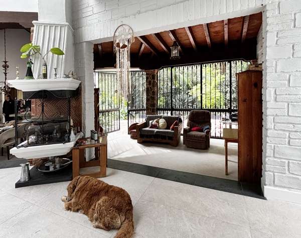 Casa Pino Cuernavaca